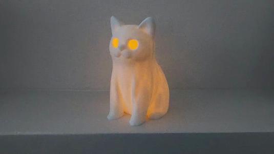 Kids Room Family Pet Cat Night Light Kitten Lite