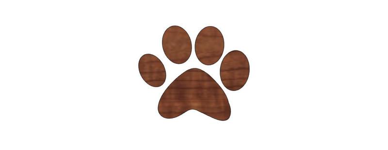 Pumpkin Paw Print/Halloween Decorations/Kids Halloween Craft/Animal Paw Design/Animal Love
