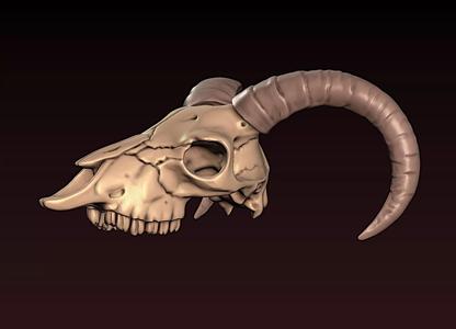 Goat Skull