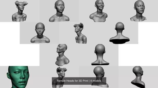 Female Heads for 3D Print 3D Model Collection