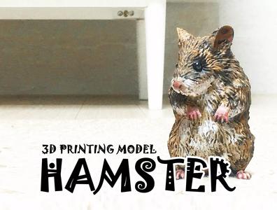 Hamster 3D Printing Model