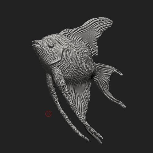 Angelfish sculpt