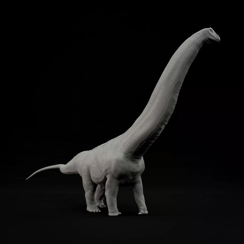 Argentinosaurus walking 1-100 scale pre-supported dinosaur