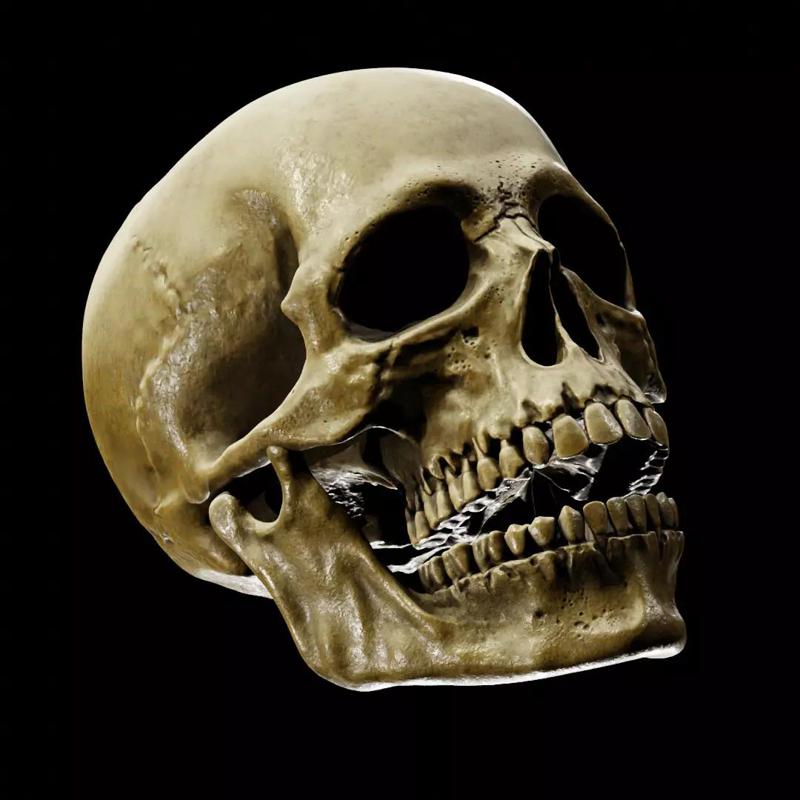Human Skull Full Printable and Nanite Ready PBR 4K