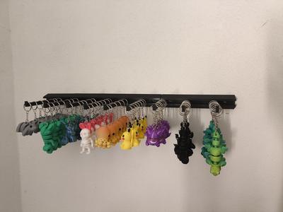Organizer for key rings on wall
