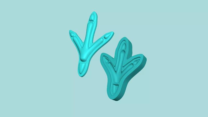 Bird Footstep - Silicone Mold -Template