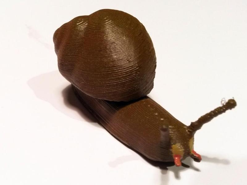 Slug with house (Schnecke mit Haus)