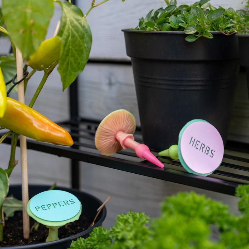 Mushroom plant label “Agaricus Silvaticus”