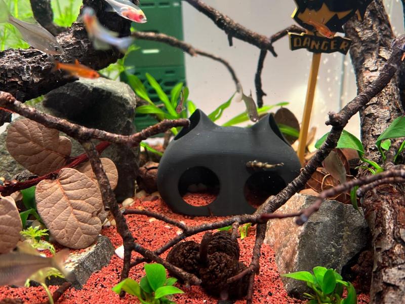 Hagimi Style Fish and Shrimp Hideout