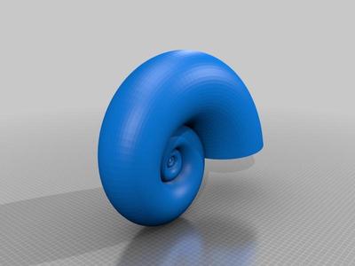 Nautilus Shell