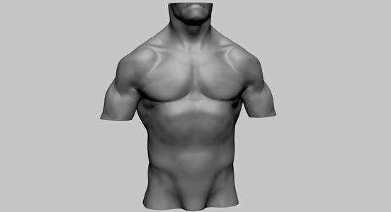 Male Torso A