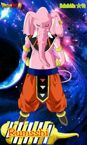 RUMSSHI  DBS