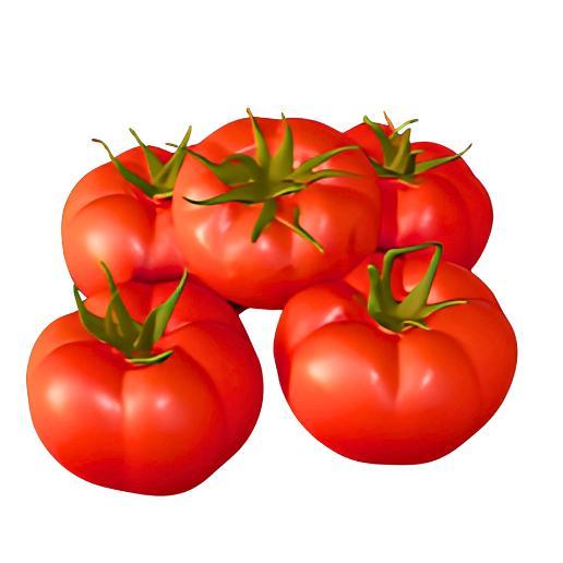 Fresh Vine Tomatoes