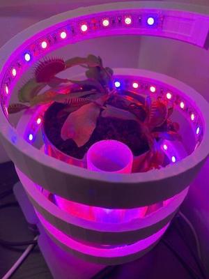 LED GARDEN