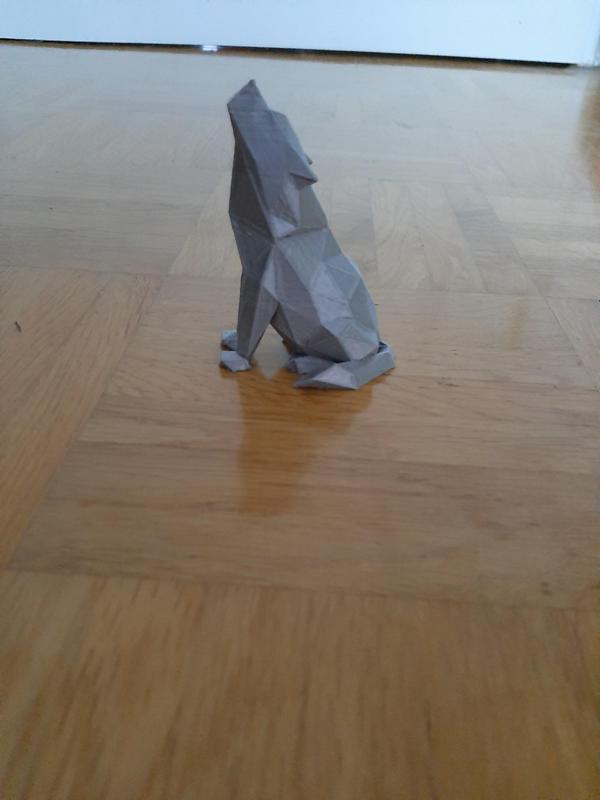 wolf