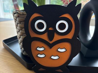 Cute Owl with big eyes