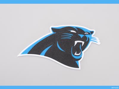 Carolina Panthers Plaque Multi-Color