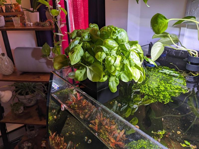 Aquarium Herb Garden up to 7mm thick glass