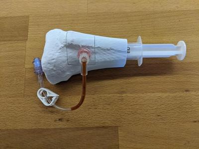 Intraosseous Access Training Device