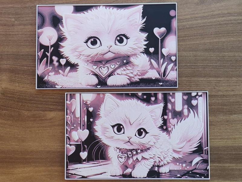 Artwork | Meow | DualPack | 2024