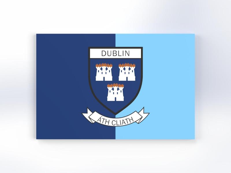 Dublin County Flag
