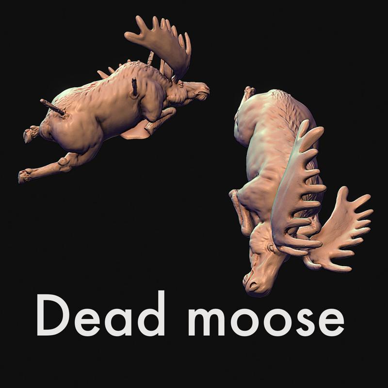 Hunted moose