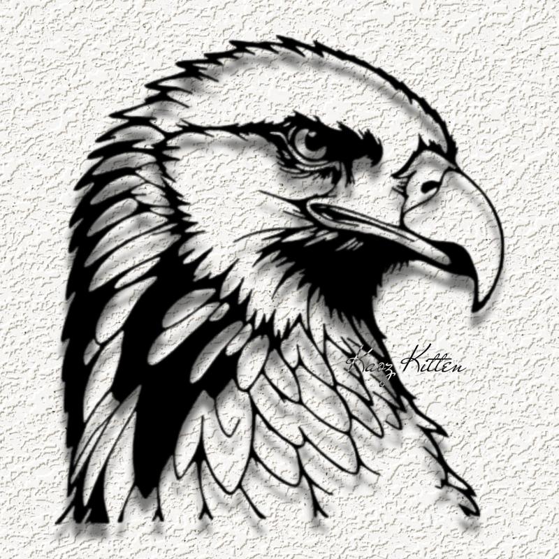 eagle bird of prey WALL ART HOME DECOR