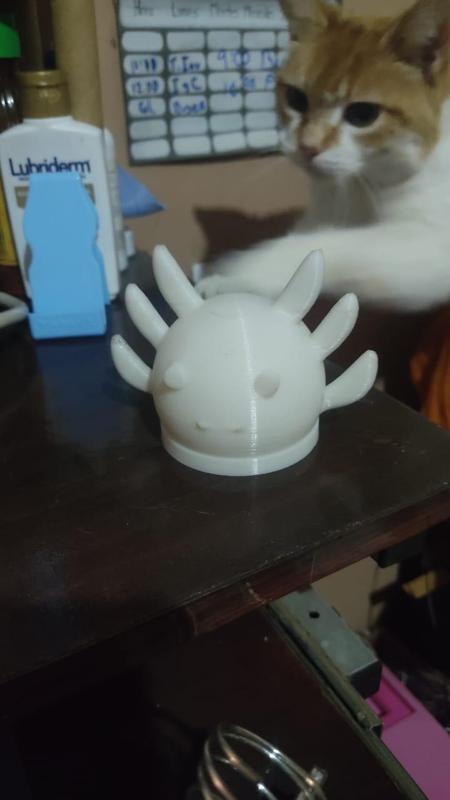 Achoque Robot Head