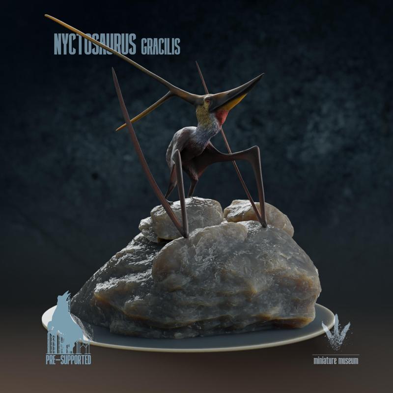 Nyctosaurus gracilis : The Night Lizard