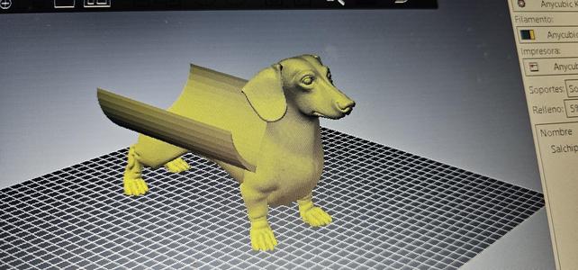 Salchi dog