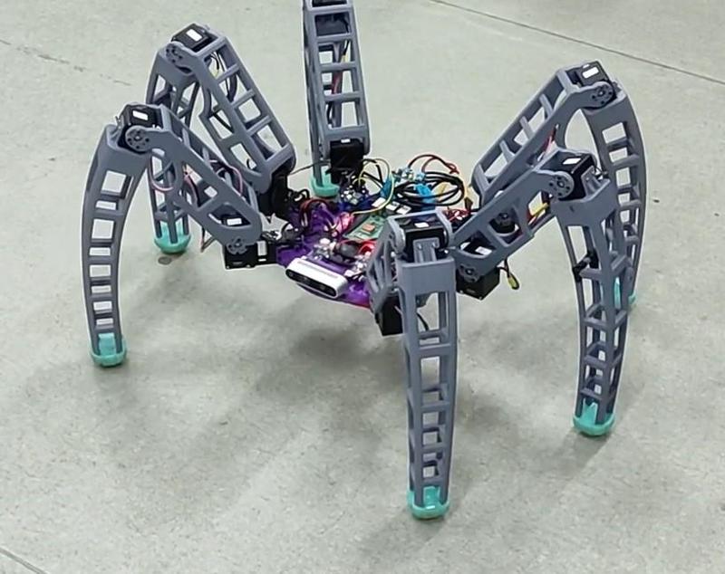 Hexapod