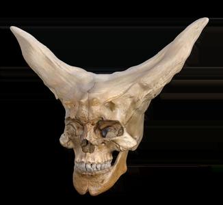 Strange Skull