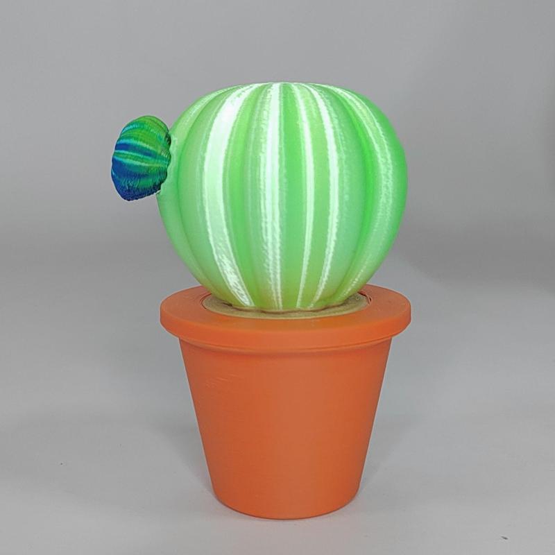 Bote de cactus