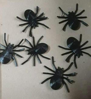 spider