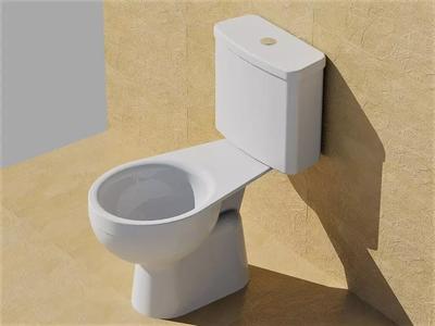 Philippine Designed Water Closet