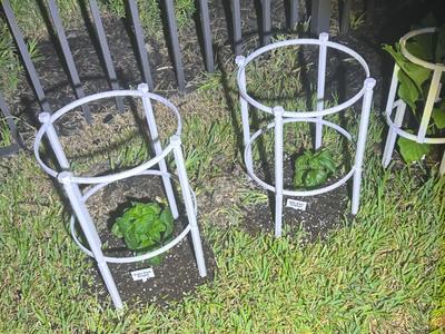 Tomato plant cage modular screw type v2