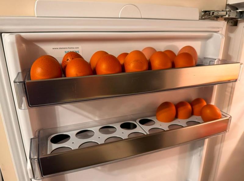Egg organizer for refrigerator doors - Egg tray - Egg storage
