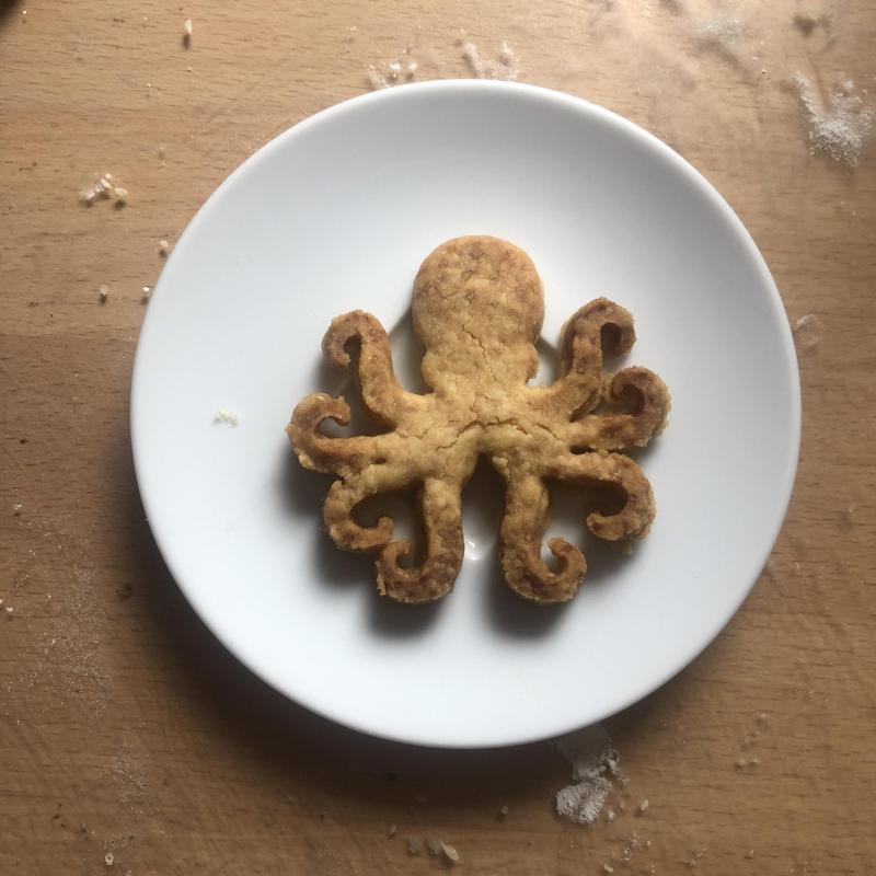Octopus