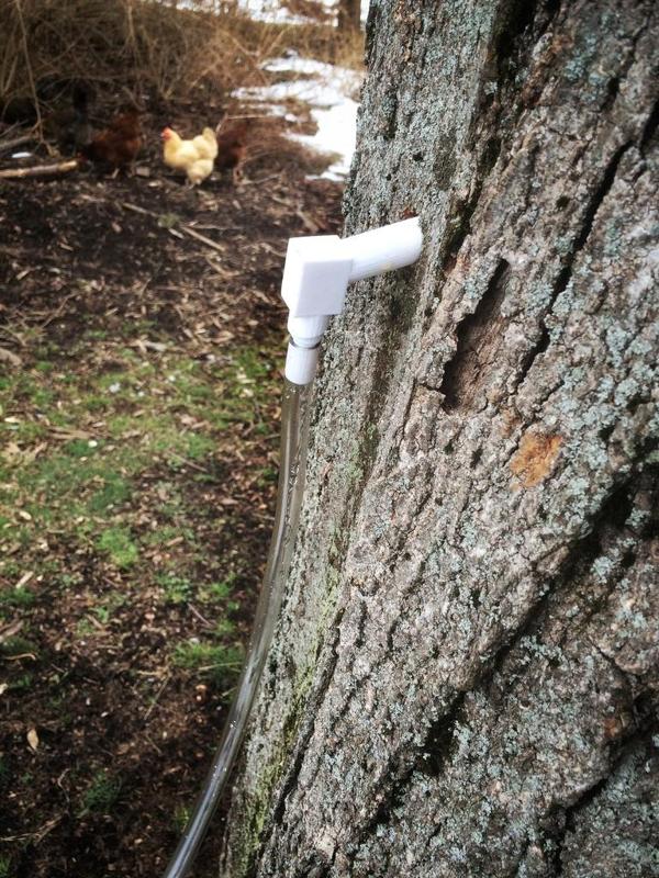 Spile for 3/8" ID Tube