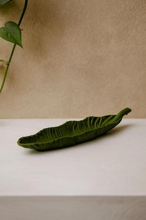 Leafy Tray — Matte Green Decorative Tray