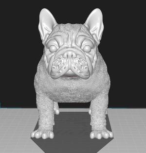 French bulldog (scalable)