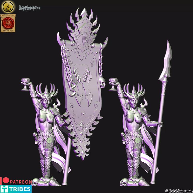 Dark elves Death hag BSB elf