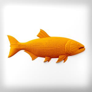 Peixe Dourado