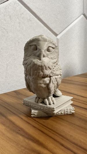 Library Owl