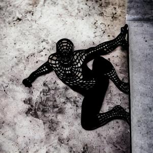 Spider Man Wall Art 001