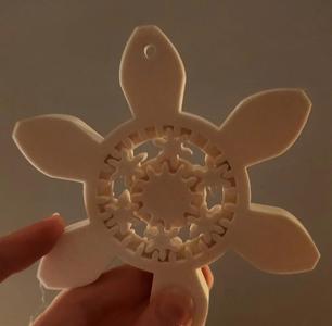Planetary Snowflake   