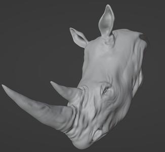 RHINOCEROS SCULP STUDY