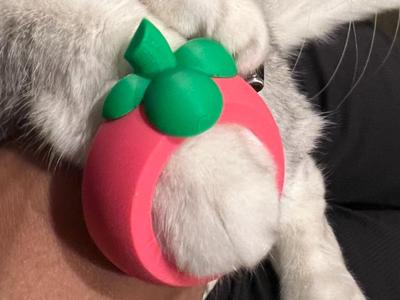 Cat Paw Mangosteen