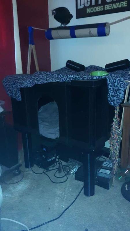 Printable Chicken Coop