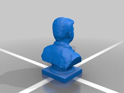 Funny bust